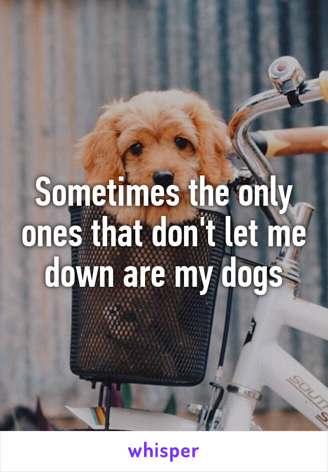 Sometimes the only ones that don't let me down are my dogs