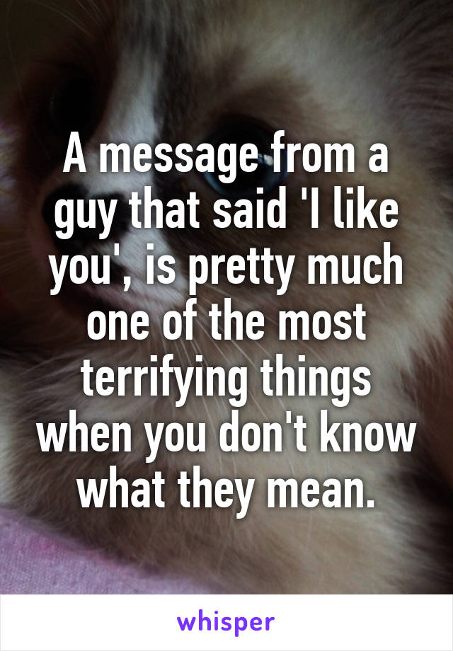 A message from a guy that said 'I like you', is pretty much one of the most terrifying things when you don't know what they mean.