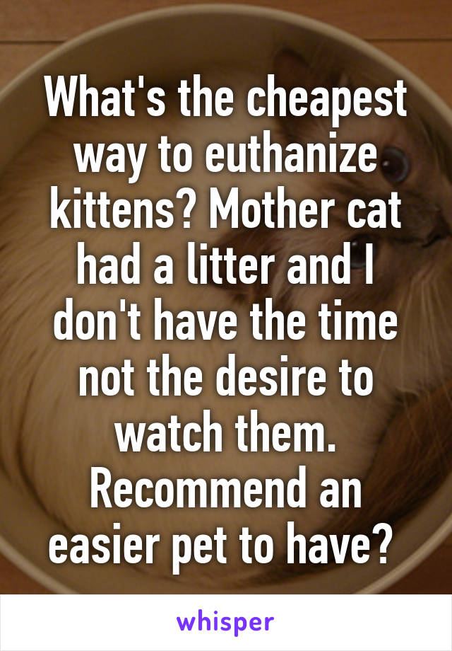 What's the cheapest way to euthanize kittens? Mother cat had a litter and I don't have the time not the desire to watch them. Recommend an easier pet to have? 