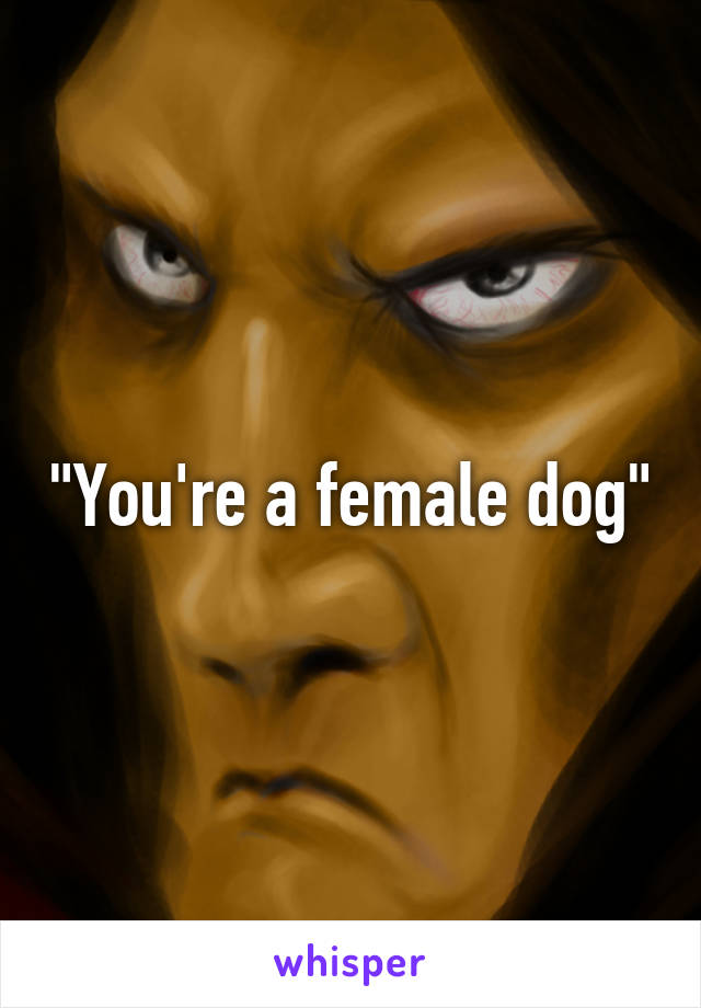 "You're a female dog"
