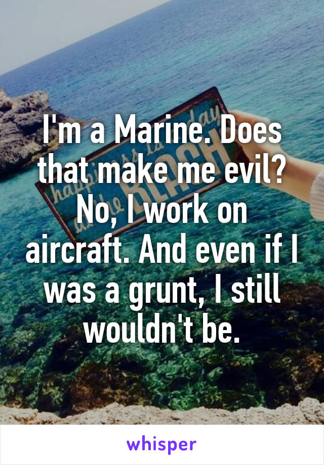 I'm a Marine. Does that make me evil? No, I work on aircraft. And even if I was a grunt, I still wouldn't be.