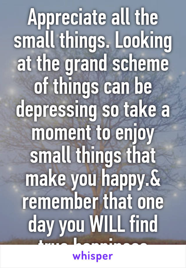 Appreciate all the small things. Looking at the grand scheme of things can be depressing so take a moment to enjoy small things that make you happy.& remember that one day you WILL find true happiness