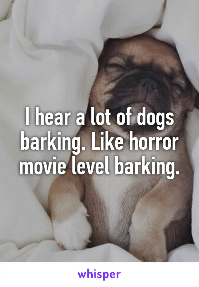 I hear a lot of dogs barking. Like horror movie level barking.