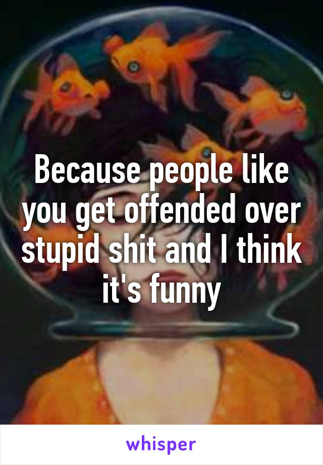 Because people like you get offended over stupid shit and I think it's funny