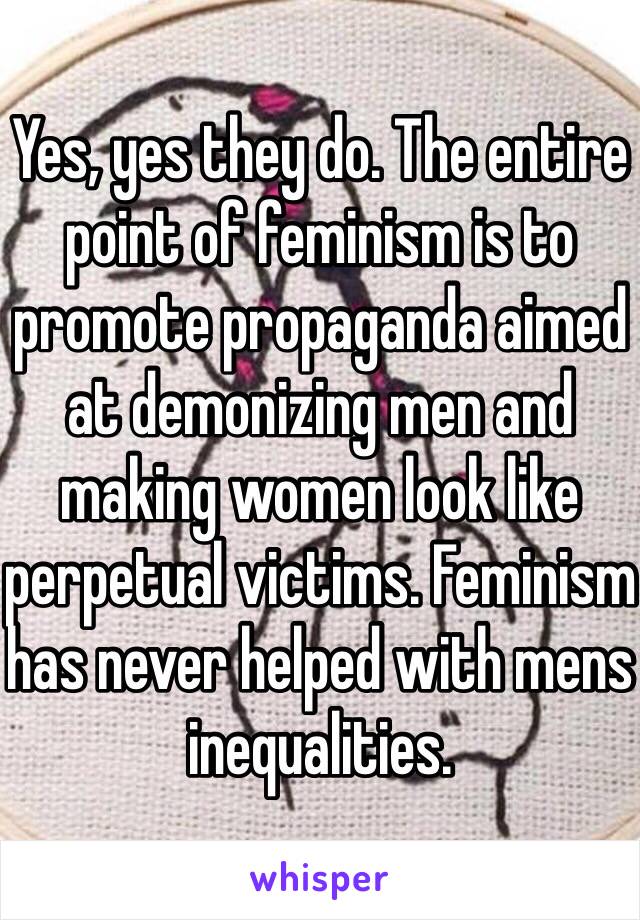 Yes, yes they do. The entire point of feminism is to promote propaganda aimed at demonizing men and making women look like perpetual victims. Feminism has never helped with mens inequalities. 