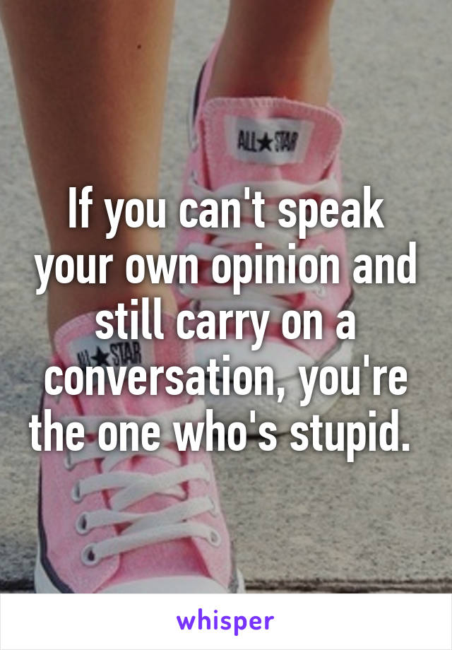 If you can't speak your own opinion and still carry on a conversation, you're the one who's stupid. 