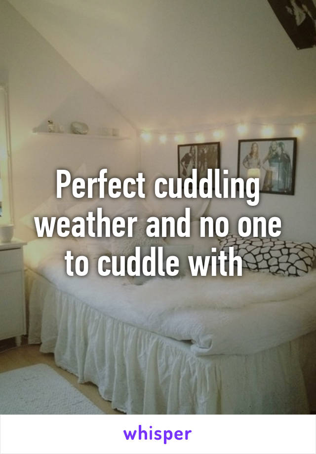 Perfect cuddling weather and no one to cuddle with 