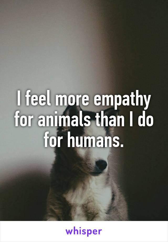 I feel more empathy for animals than I do for humans.