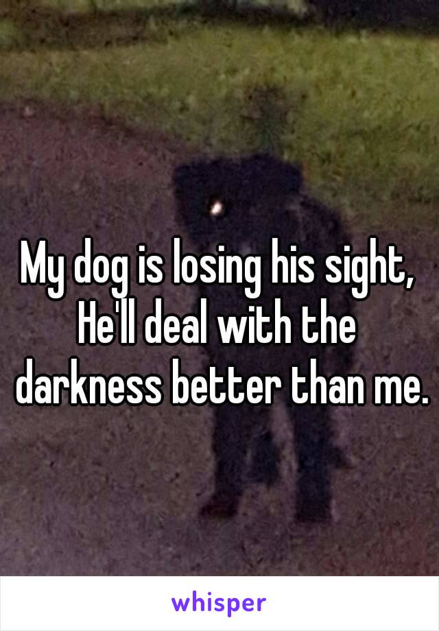 My dog is losing his sight,
He'll deal with the darkness better than me.