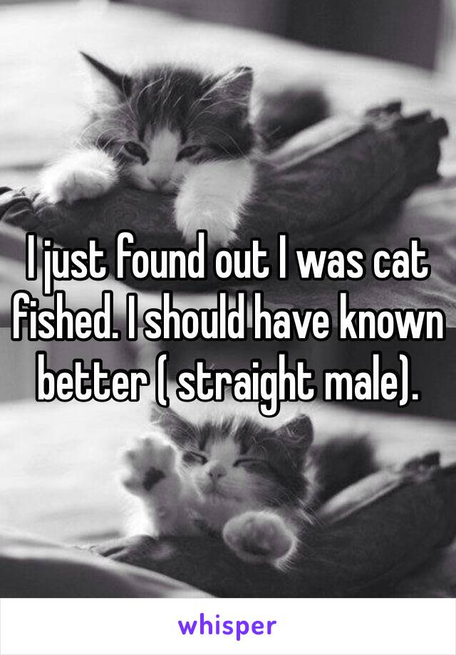 I just found out I was cat fished. I should have known better ( straight male).