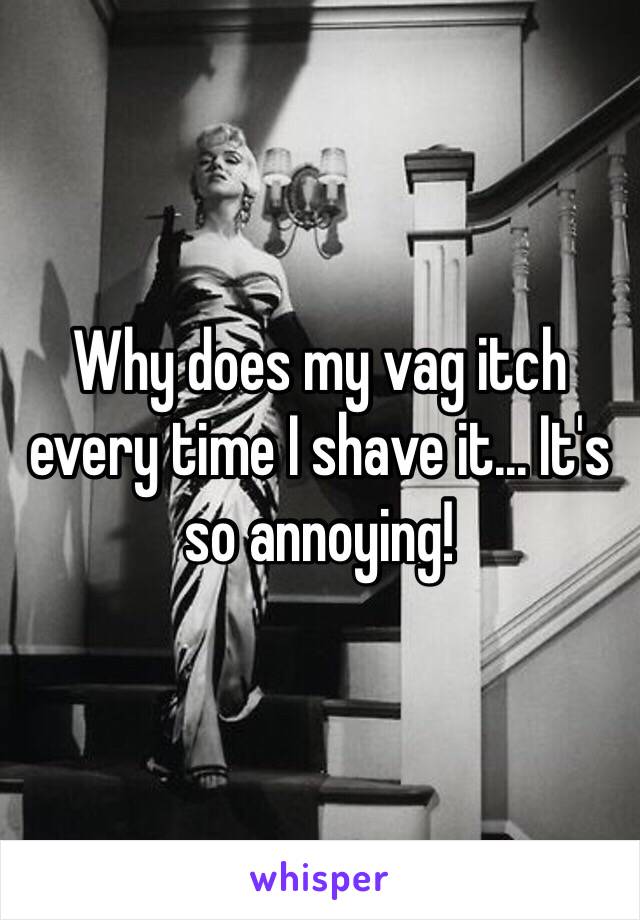 Why does my vag itch every time I shave it... It's so annoying! 