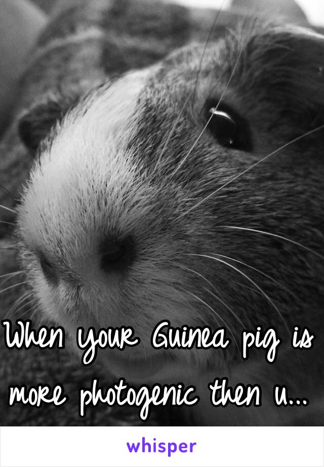 When your Guinea pig is more photogenic then u...