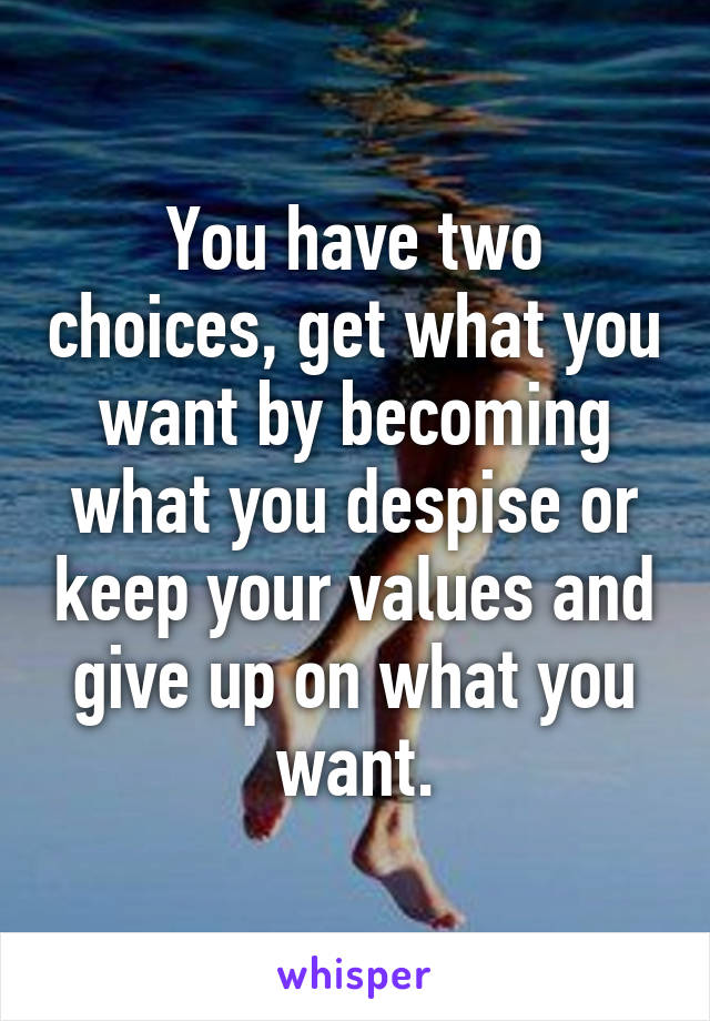 You have two choices, get what you want by becoming what you despise or keep your values and give up on what you want.