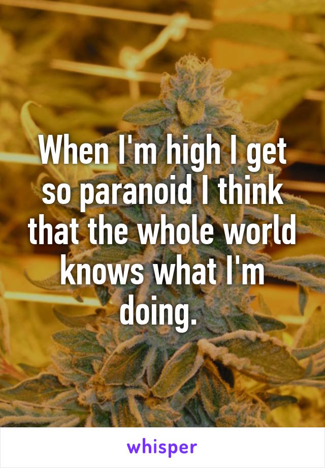 When I'm high I get so paranoid I think that the whole world knows what I'm doing. 