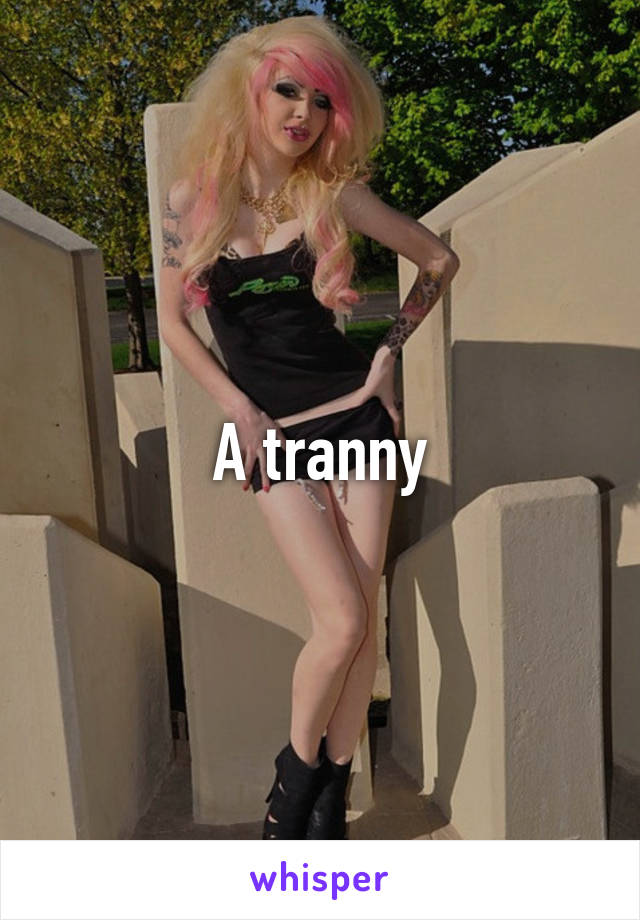 A tranny