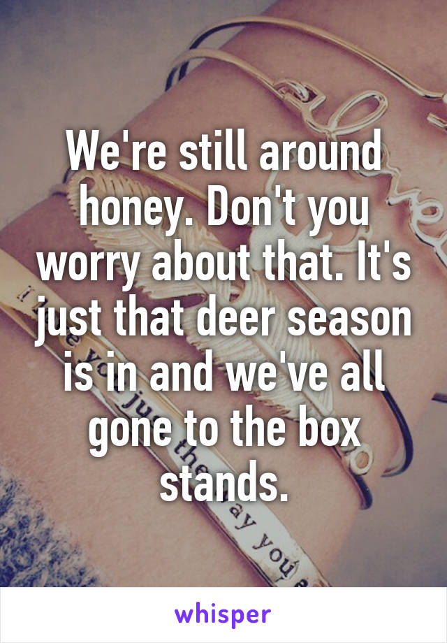We're still around honey. Don't you worry about that. It's just that deer season is in and we've all gone to the box stands.