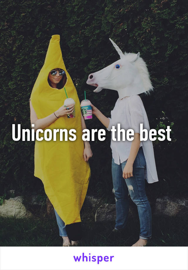 Unicorns are the best 