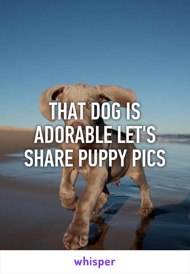 THAT DOG IS ADORABLE LET'S SHARE PUPPY PICS