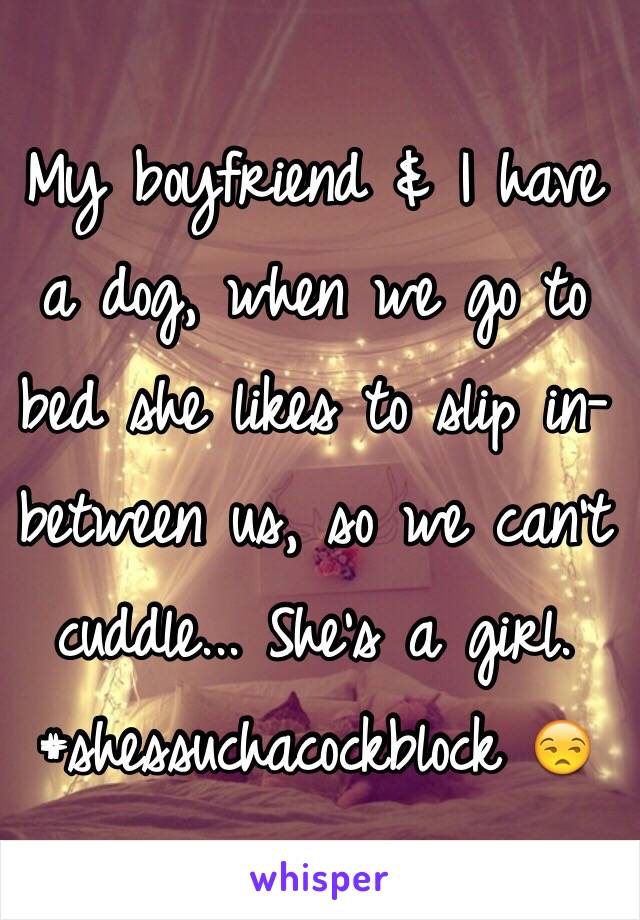 My boyfriend & I have a dog, when we go to bed she likes to slip in-between us, so we can't cuddle... She's a girl. 
#shessuchacockblock 😒 