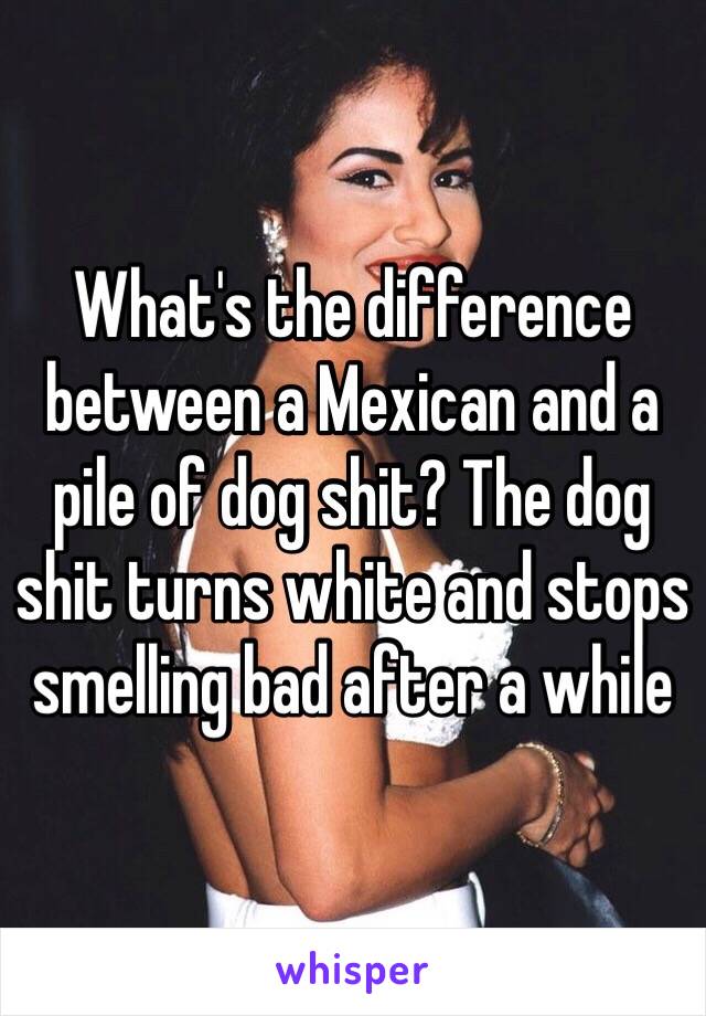 What's the difference between a Mexican and a pile of dog shit? The dog shit turns white and stops smelling bad after a while