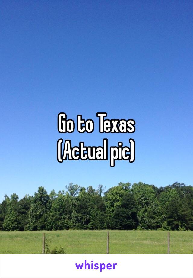 Go to Texas
(Actual pic)