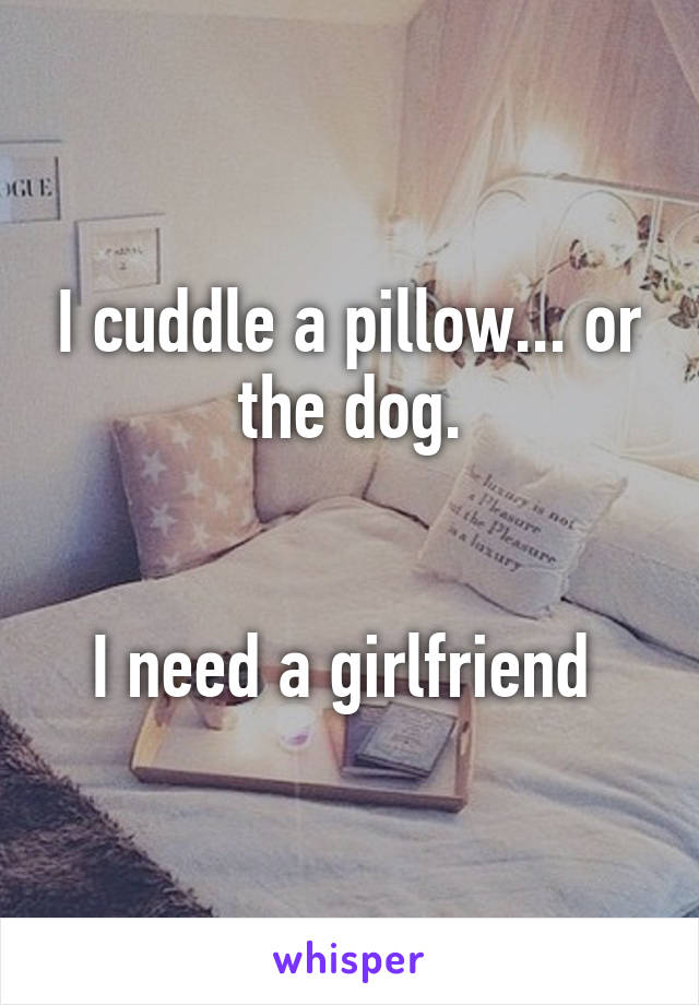 I cuddle a pillow... or the dog.


I need a girlfriend 