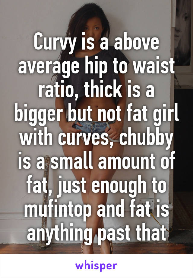 Curvy is a above average hip to waist ratio, thick is a bigger but not fat girl with curves, chubby is a small amount of fat, just enough to mufintop and fat is anything past that