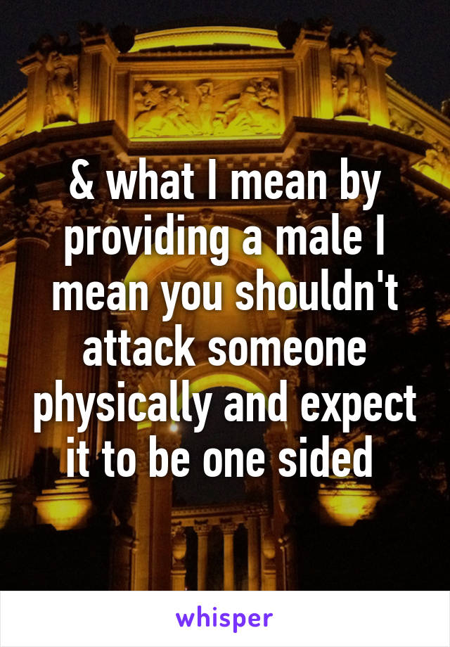 & what I mean by providing a male I mean you shouldn't attack someone physically and expect it to be one sided 