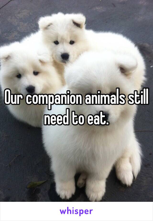 Our companion animals still need to eat. 