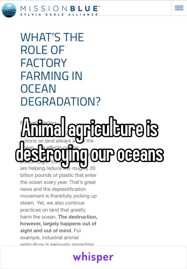 Animal agriculture is destroying our oceans 