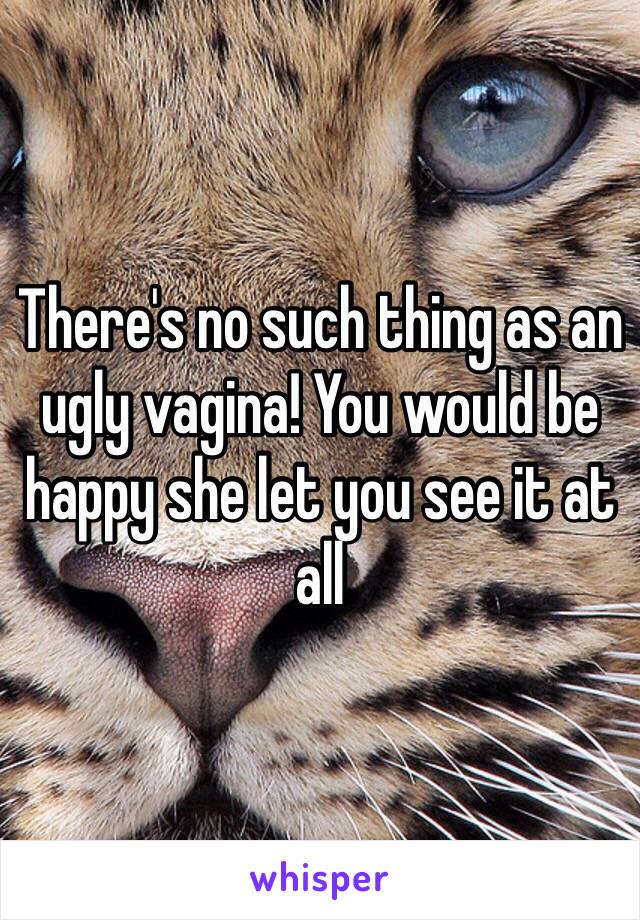 There's no such thing as an ugly vagina! You would be happy she let you see it at all