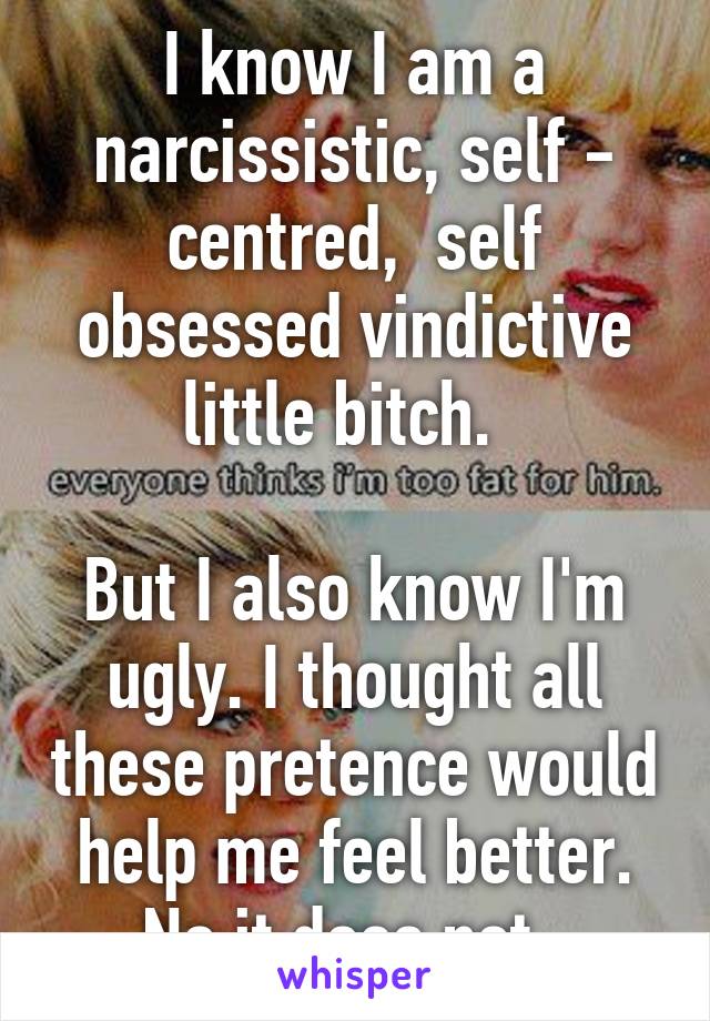 I know I am a narcissistic, self - centred,  self obsessed vindictive little bitch.  

But I also know I'm ugly. I thought all these pretence would help me feel better. No it does not. 