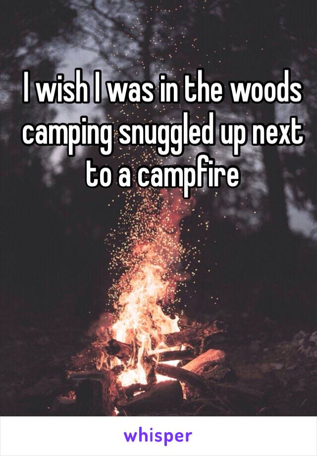 I wish I was in the woods camping snuggled up next to a campfire 