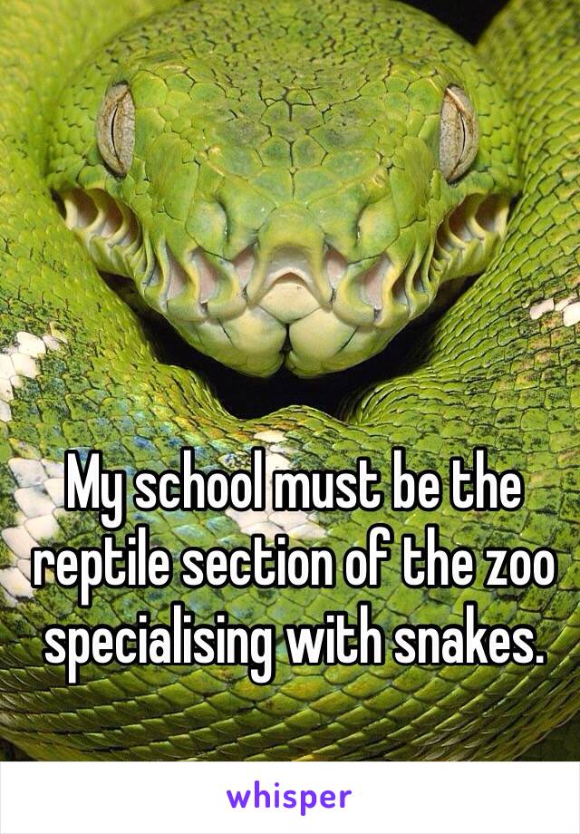 My school must be the reptile section of the zoo specialising with snakes.