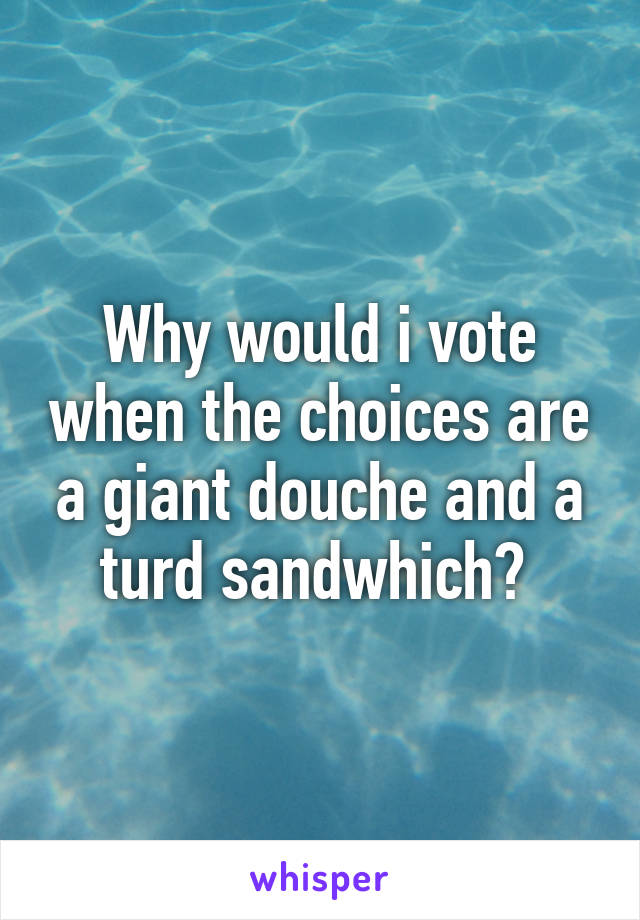 Why would i vote when the choices are a giant douche and a turd sandwhich? 