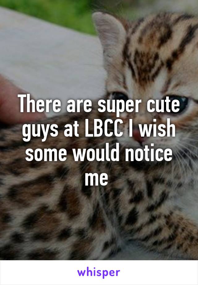 There are super cute guys at LBCC I wish some would notice me 