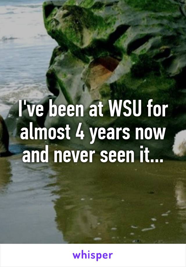 I've been at WSU for almost 4 years now and never seen it...