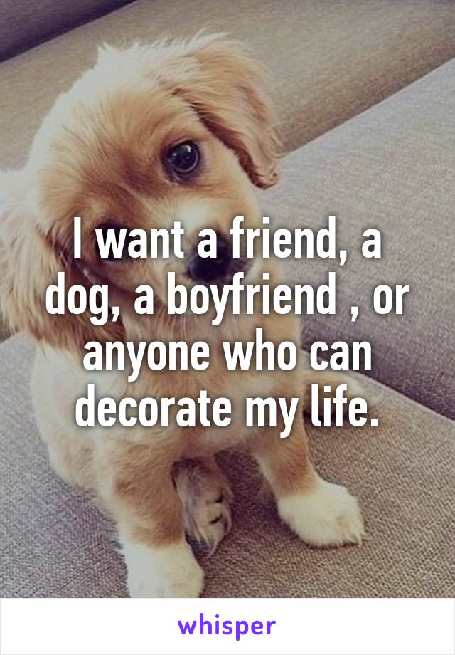 I want a friend, a dog, a boyfriend , or anyone who can decorate my life.