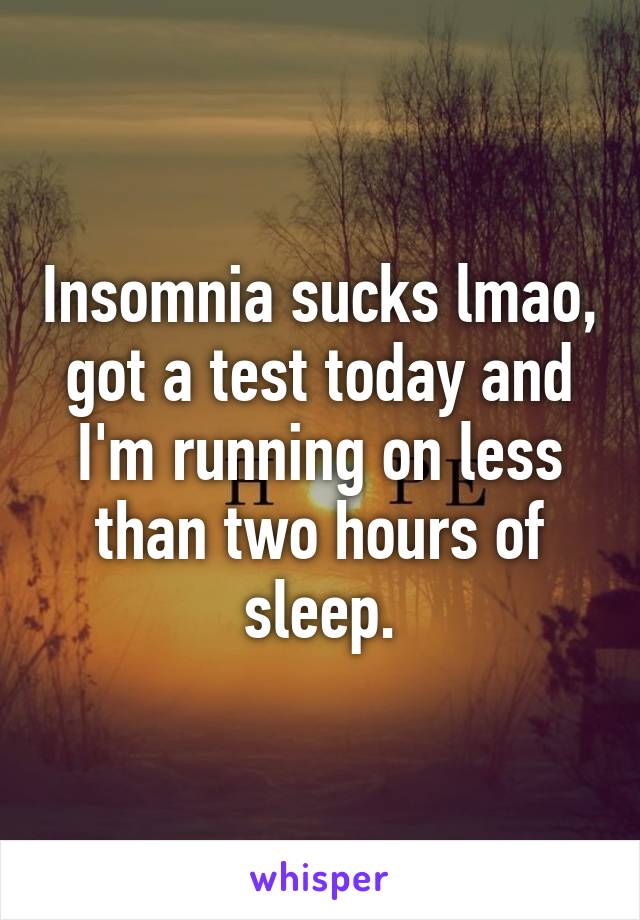 Insomnia sucks lmao, got a test today and I'm running on less than two hours of sleep.