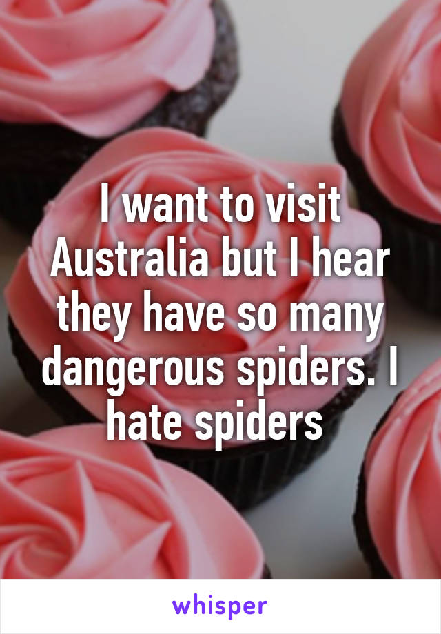 I want to visit Australia but I hear they have so many dangerous spiders. I hate spiders 