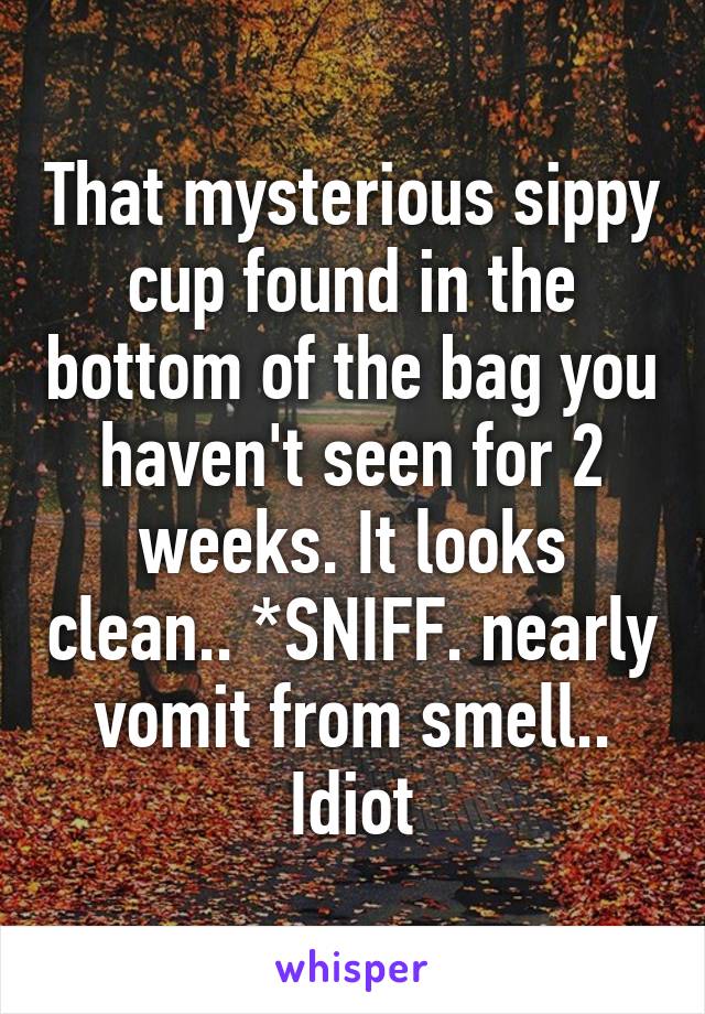 That mysterious sippy cup found in the bottom of the bag you haven't seen for 2 weeks. It looks clean.. *SNIFF. nearly vomit from smell.. Idiot