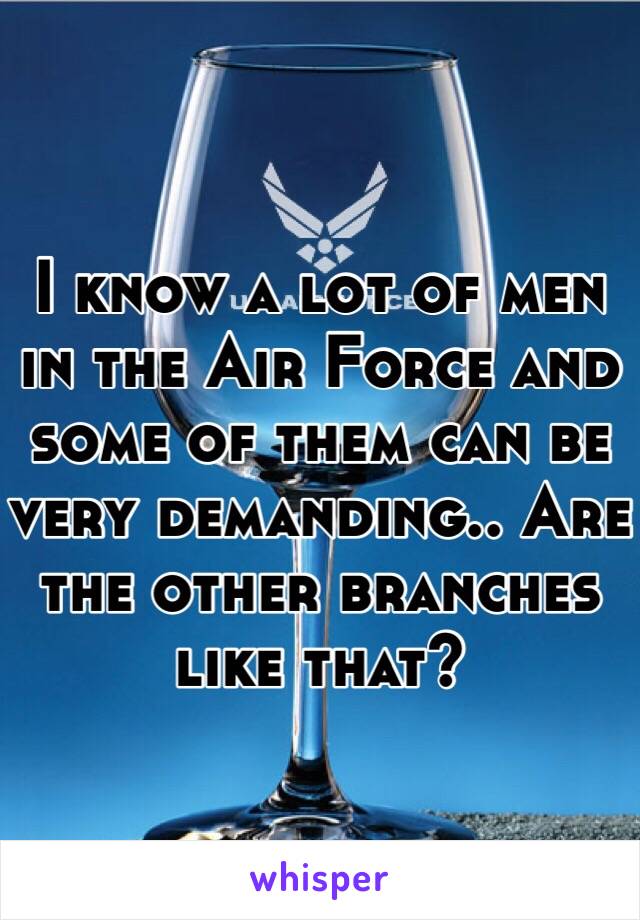 I know a lot of men in the Air Force and some of them can be very demanding.. Are the other branches like that?