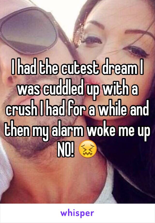 I had the cutest dream I was cuddled up with a crush I had for a while and then my alarm woke me up NO! 😖