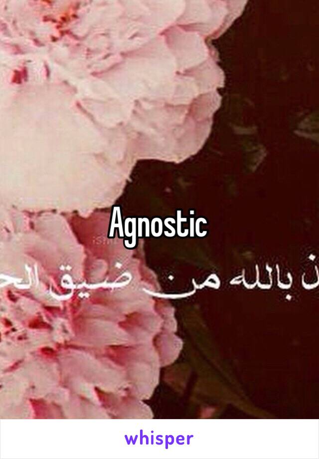 Agnostic