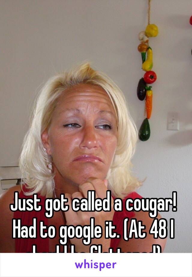 Just got called a cougar! Had to google it. (At 48 I should be flattered)