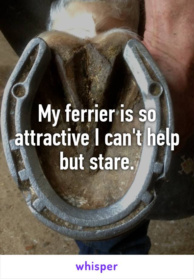 My ferrier is so attractive I can't help but stare.