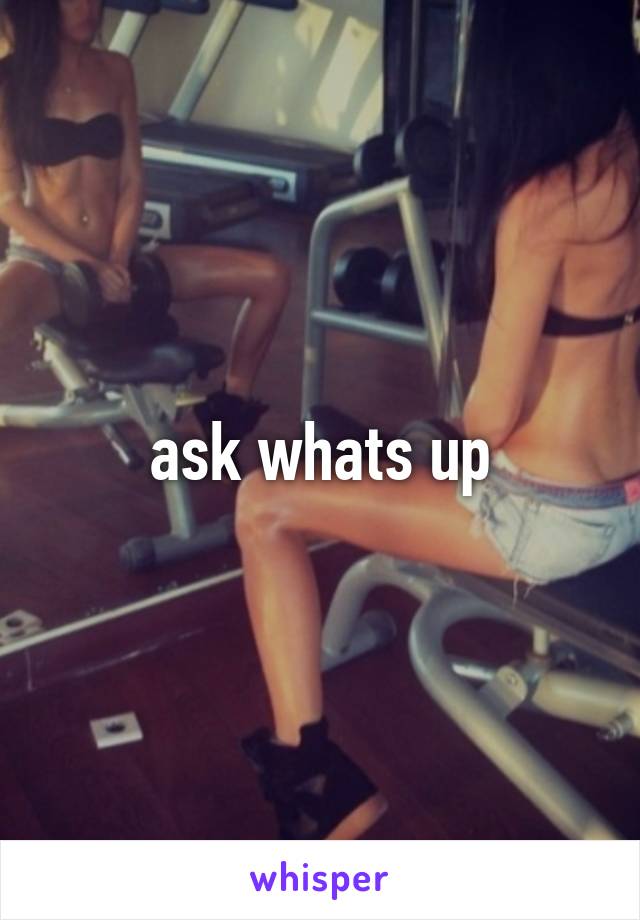 ask whats up