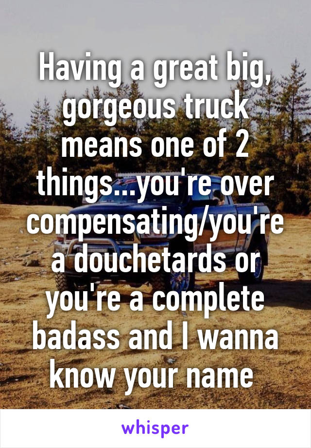 Having a great big, gorgeous truck means one of 2 things...you're over compensating/you're a douchetards or you're a complete badass and I wanna know your name 
