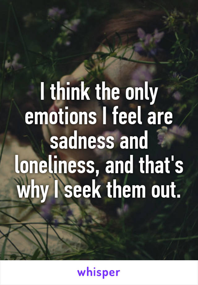 I think the only emotions I feel are sadness and loneliness, and that's why I seek them out.