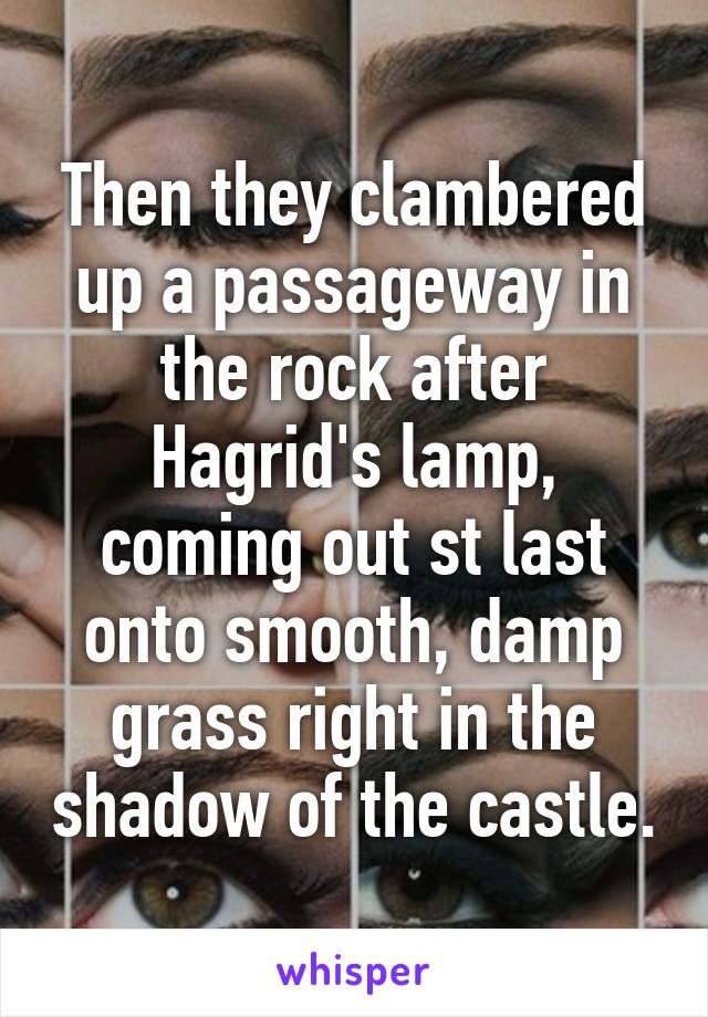 Then they clambered up a passageway in the rock after Hagrid's lamp, coming out st last onto smooth, damp grass right in the shadow of the castle.